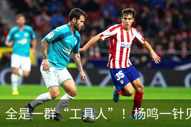 全是一群“工具人”！杨鸣一针见血：中国男篮凭什么赢日本？