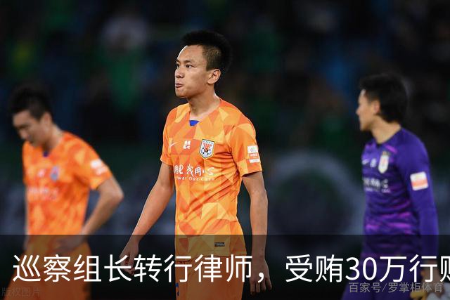 巡察组长转行律师，受贿30万行贿145万，被判4年半