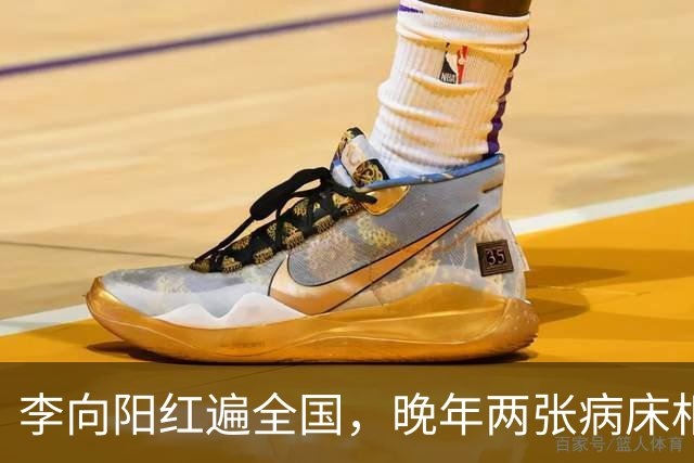 李向阳红遍全国，晚年两张病床相伴，走时遗产只有一杆枪