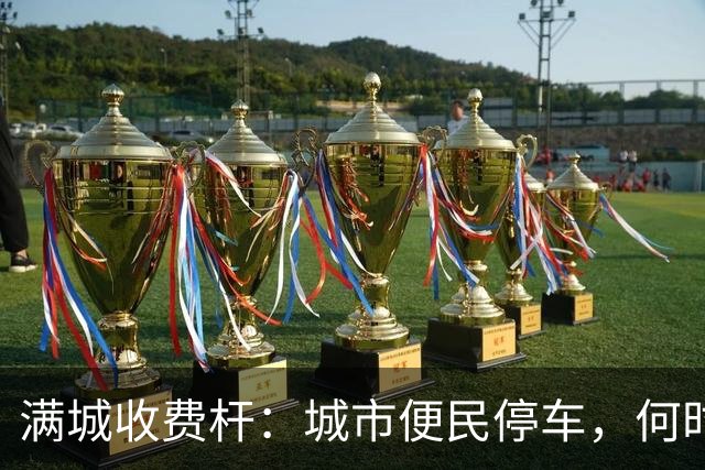 满城收费杆：城市便民停车，何时沦为全民“硬收割”？