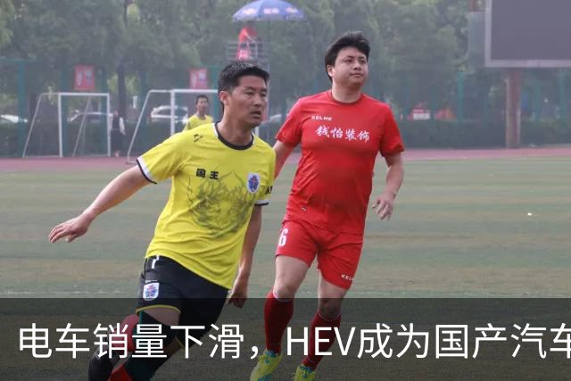电车销量下滑，HEV成为国产汽车增长发动机，继续挑战丰田