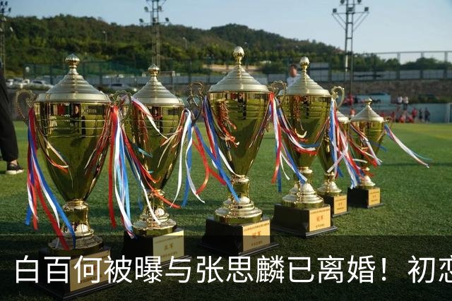 白百何被曝与张思麟已离婚！初恋重逢七年，二胎出生后仍散场？