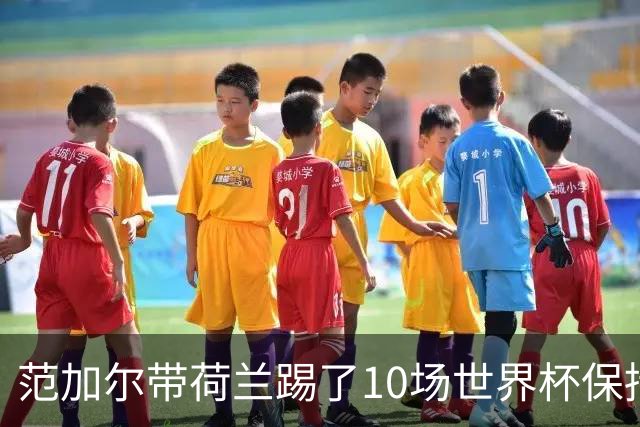范加尔带荷兰踢了10场世界杯保持不败 历史之最