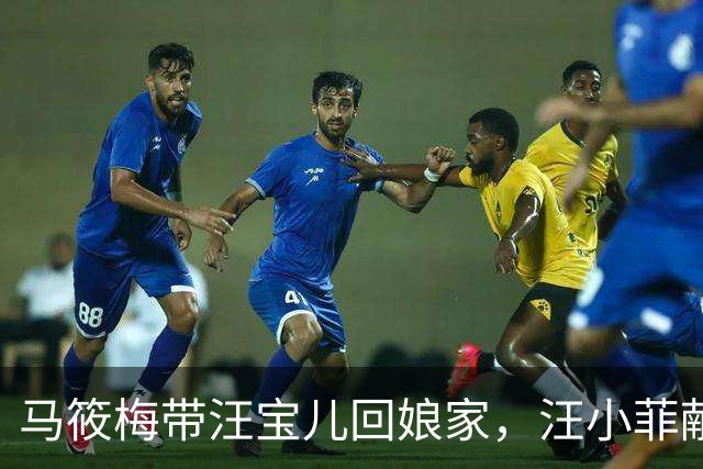马筱梅带汪宝儿回娘家，汪小菲献殷勤被冷脸无视，一人陪箖箖打球
