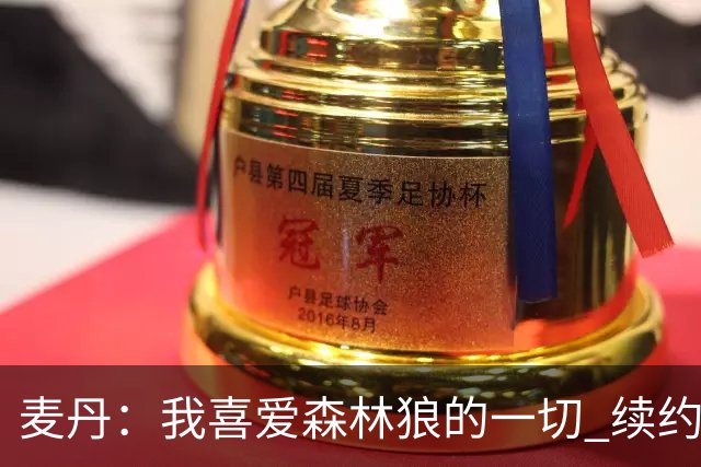 麦丹：我喜爱森林狼的一切 续约是不用犹豫的决定